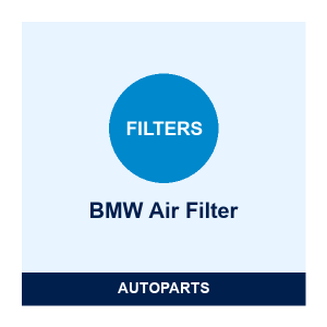BMW Air Filter